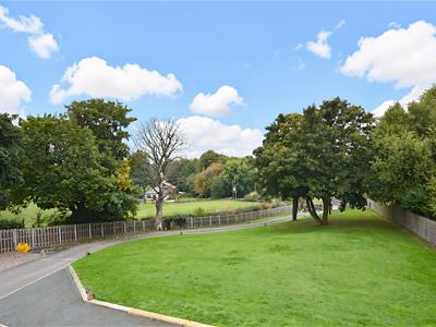 Picture 29